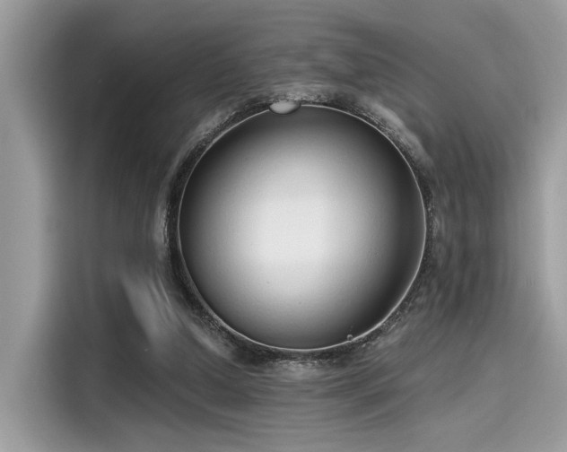 X0000115550250200911131611