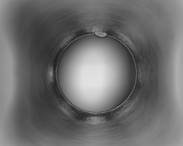 X0000115550251200911131611