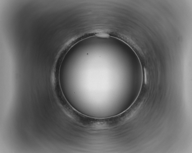 X0000115550252200911131611