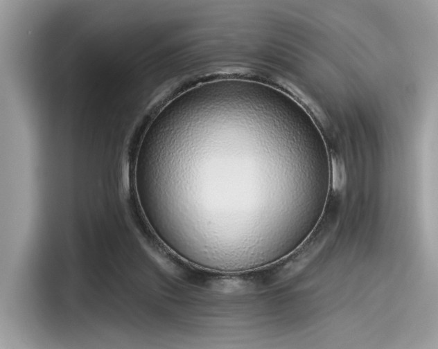 X0000115550253200911131611