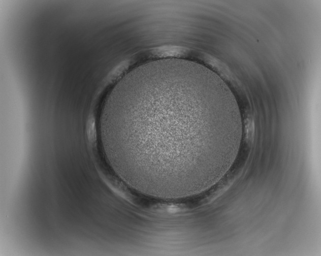 X0000115550254200911131611