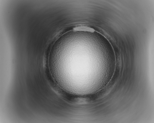 X0000115550255200911131611