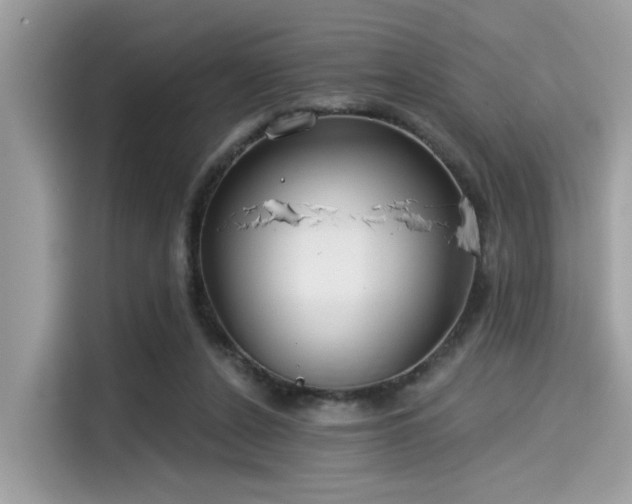 X0000115550256200911131611