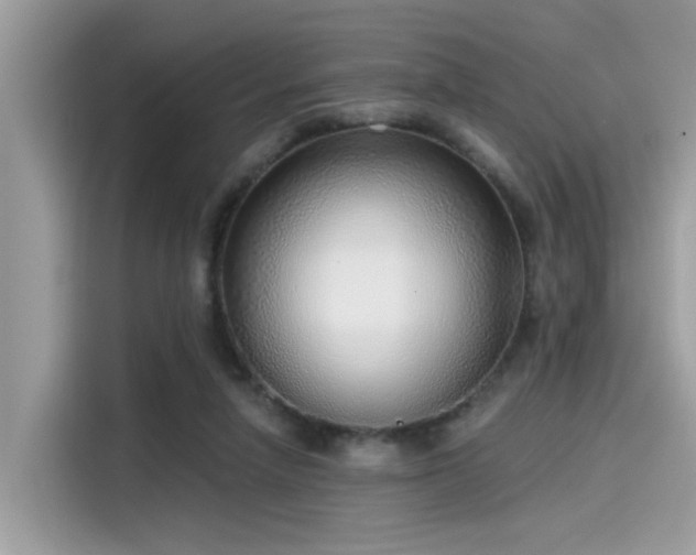 X0000115550258200911131611