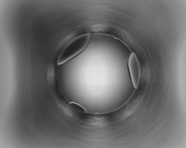 X0000115550260200911131611