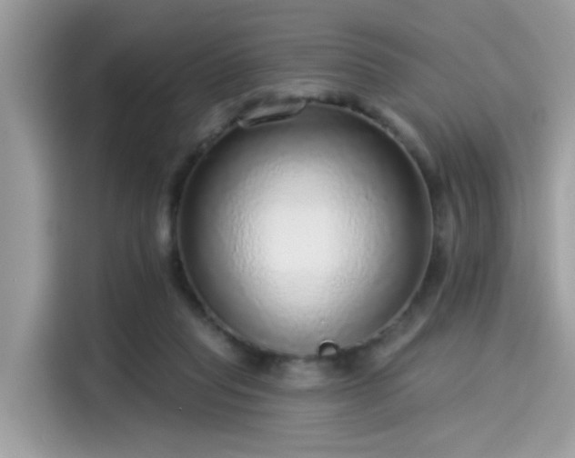 X0000115550261200911131611