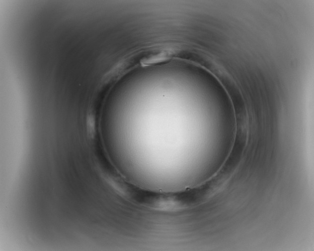 X0000115550262200911131611