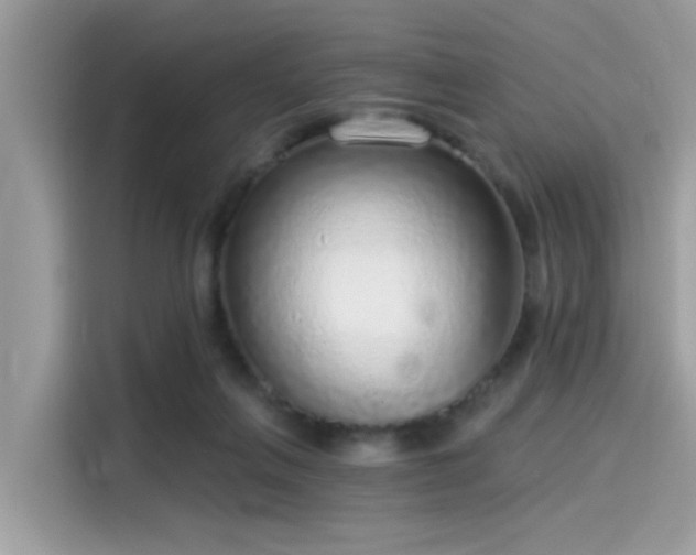 X0000115550263200911131611