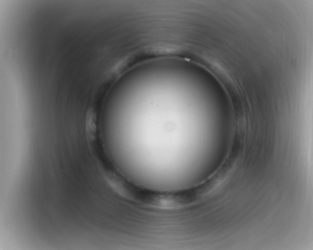 X0000115550264200911131611