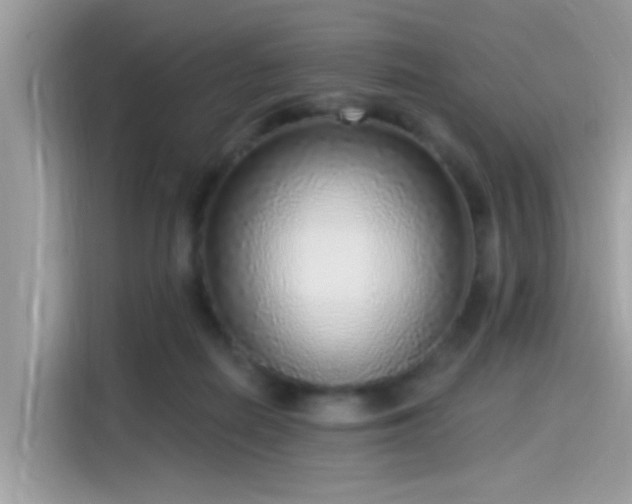 X0000115550266200911131611