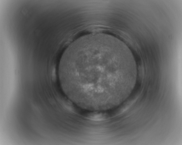 X0000115550267200911131611