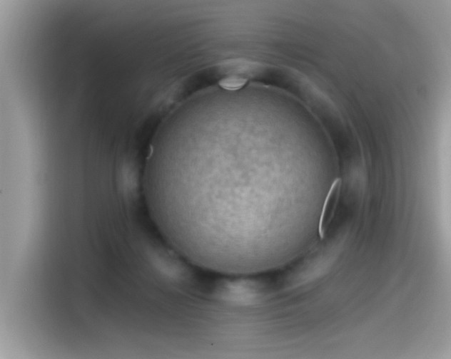 X0000115550268200911131611