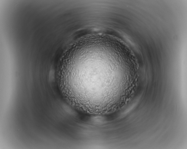 X0000115550269200911131611