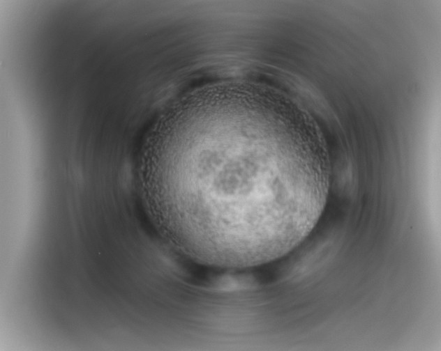 X0000115550270200911131611