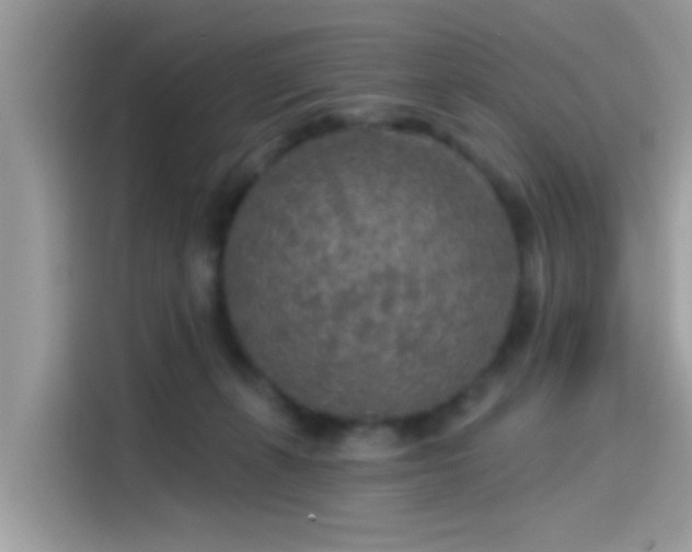 X0000115550271200911131611