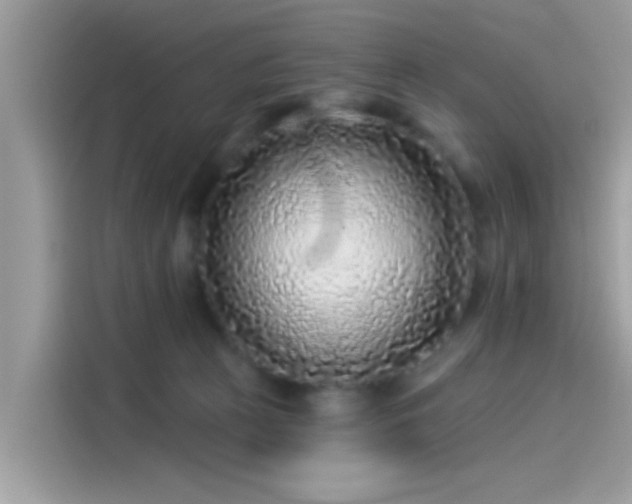 X0000115550273200911131611