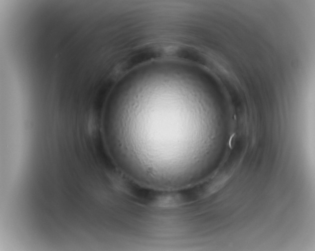 X0000115550274200911131611