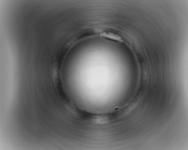 X0000115550275200911131611