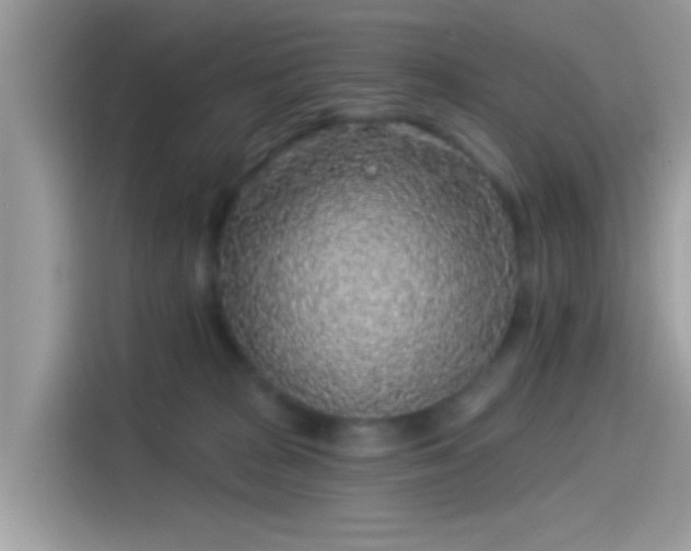 X0000115550277200911131611