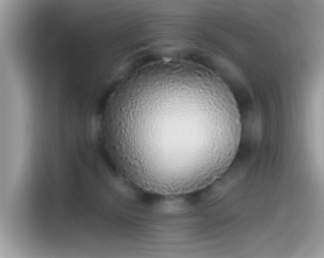 X0000115550278200911131611