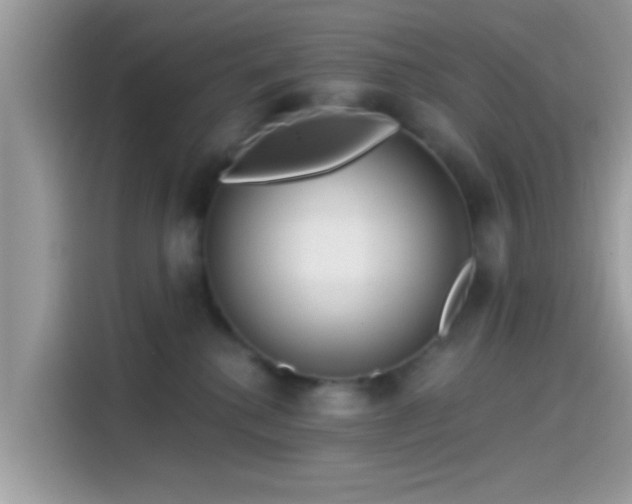 X0000115550280200911131611