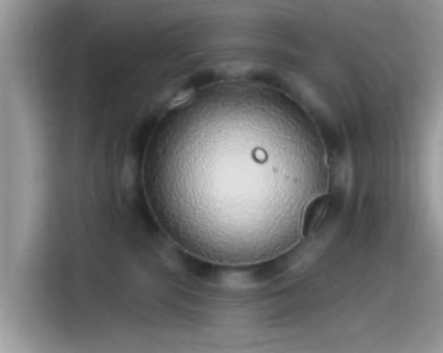 X0000115550283200911131611