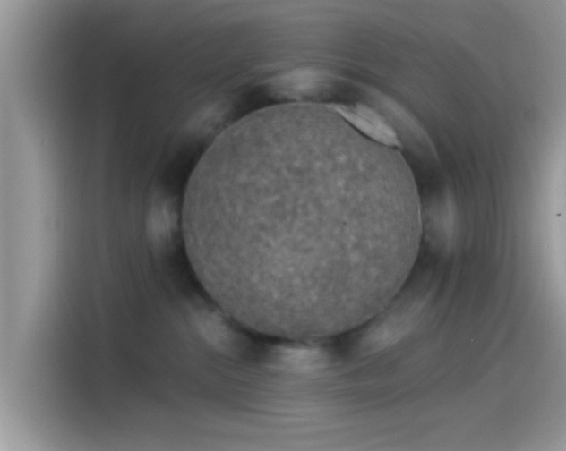 X0000115550284200911131611