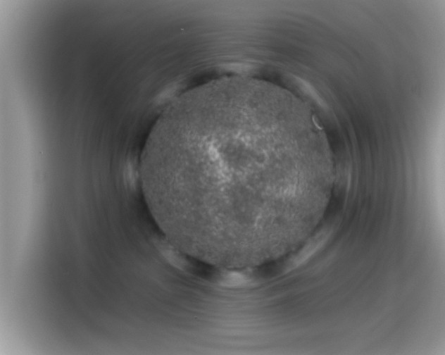 X0000115550285200911131611