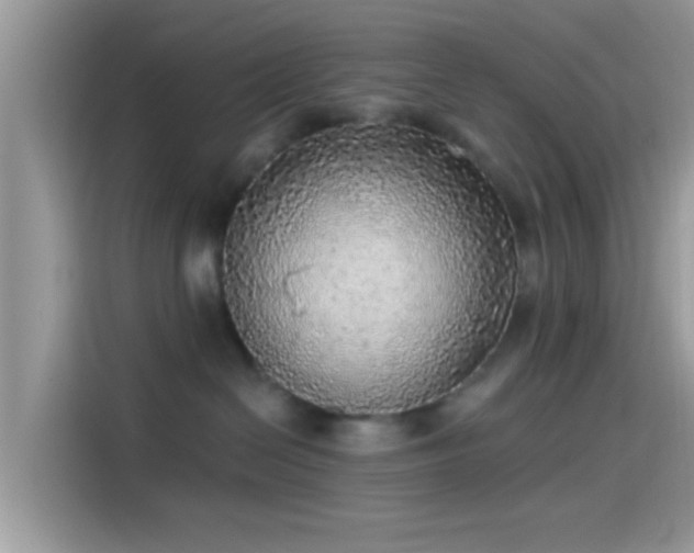 X0000115550286200911131611