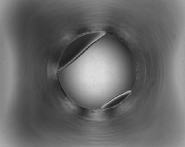 X0000115550288200911131611