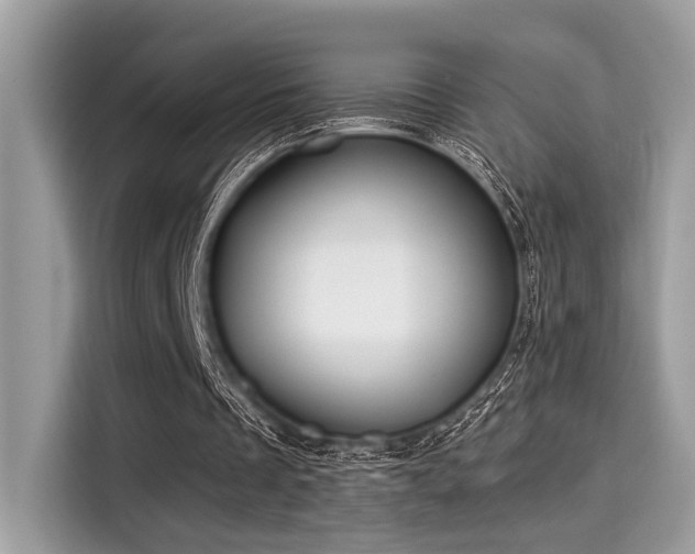 X0000115550289200911131611