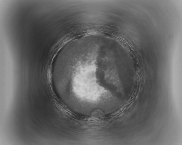 X0000115550290200911131611