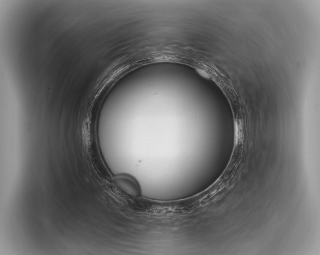 X0000115550291200911131611