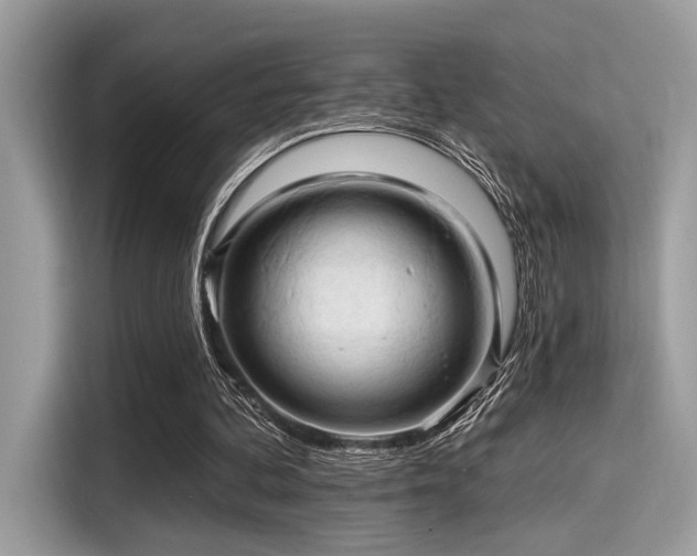 X0000115550292200911131611