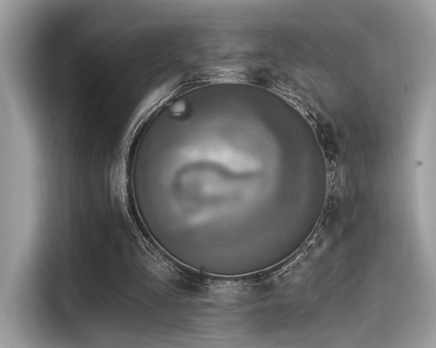 X0000115550293200911131611