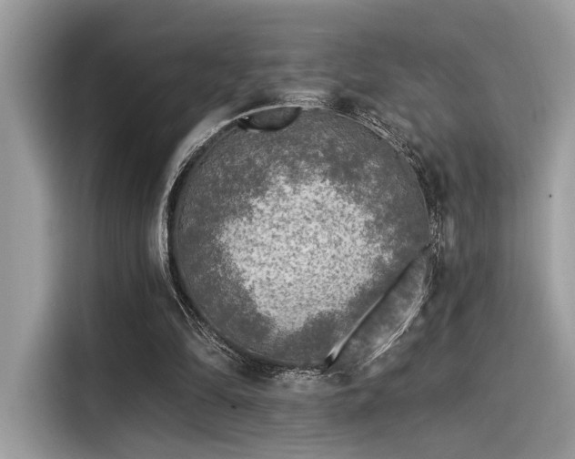 X0000115550294200911131611