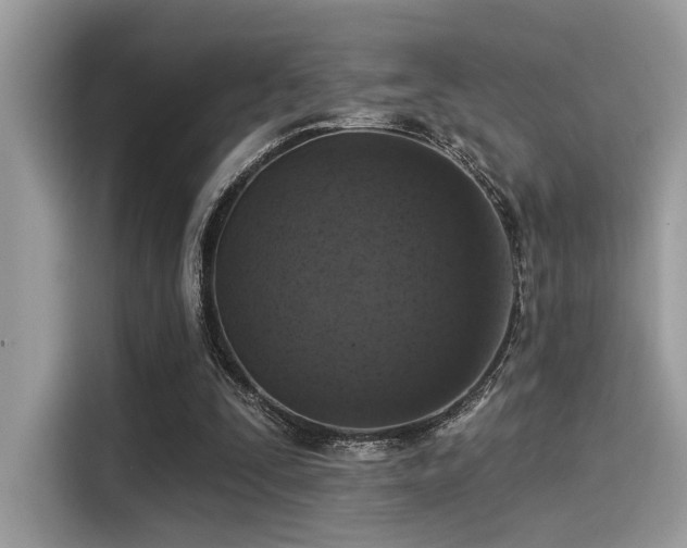 X0000115550295200911131611