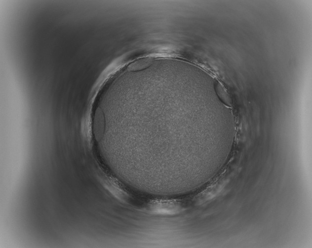 X0000115550296200911131611