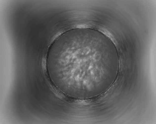 X0000115550297200911131611