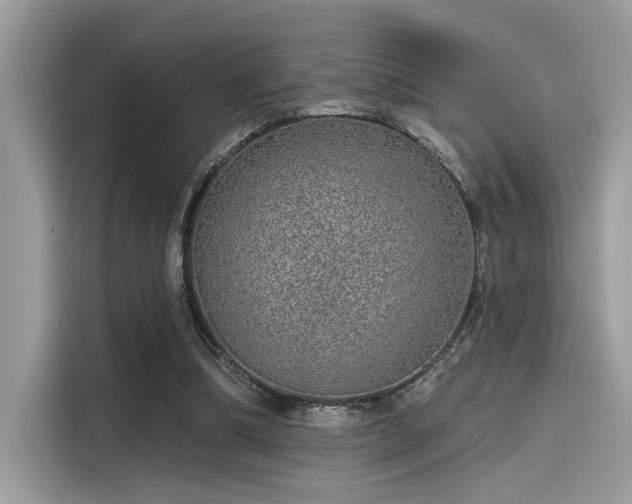 X0000115550298200911131611