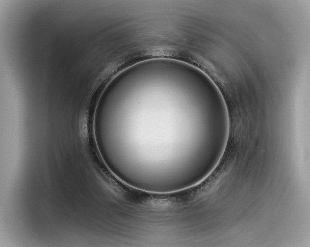 X0000115550299200911131611