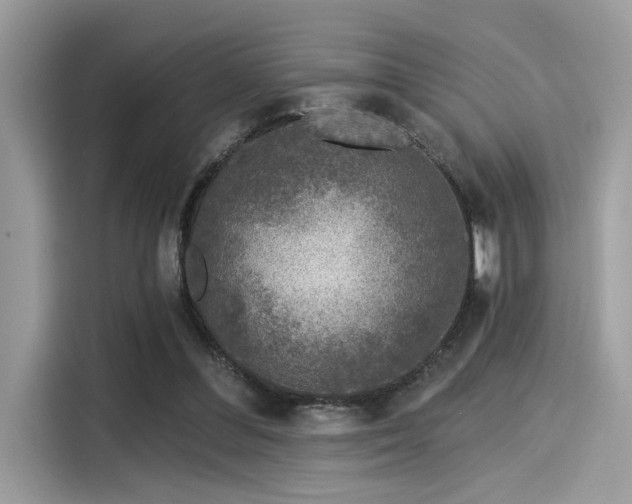 X0000115550300200911131611