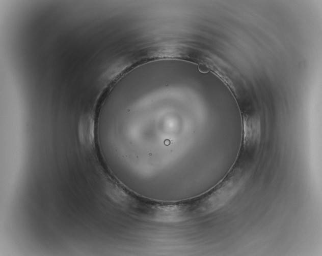 X0000115550301200911131611