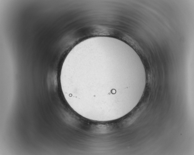 X0000115550302200911131611