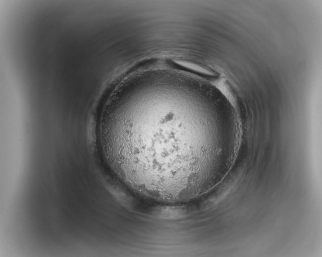 X0000115550303200911131611