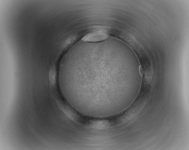 X0000115550304200911131611