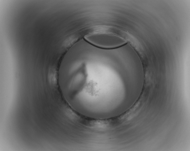 X0000115550305200911131611