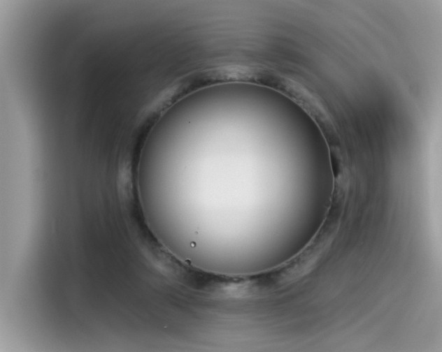 X0000115550306200911131611