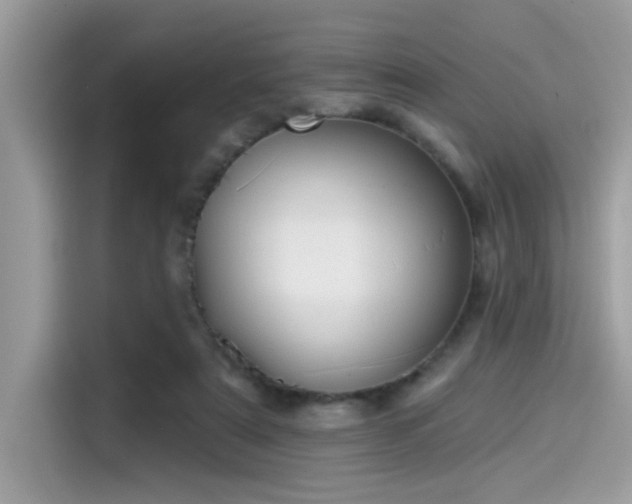 X0000115550307200911131611