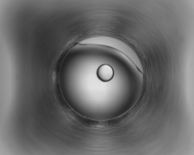 X0000115550308200911131610